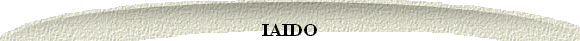  IAIDO 